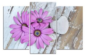 Slika na platnu - Cvijeće i kameno srce 183C (90x60 cm)
