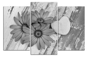 Slika na platnu - Cvijeće i kameno srce 183QC (90x60 cm)