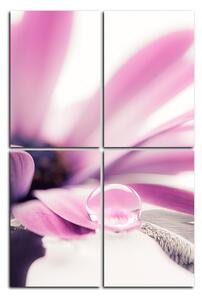 Slika na platnu - Kap rose na laticama cvijeta - pravokutnik 780D (120x80 cm)