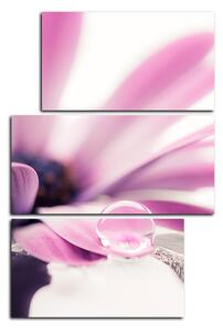 Slika na platnu - Kap rose na laticama cvijeta - pravokutnik 780C (90x60 cm)