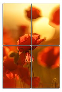 Slika na platnu - Makovi na suncu - pravokutnik 793D (120x80 cm)