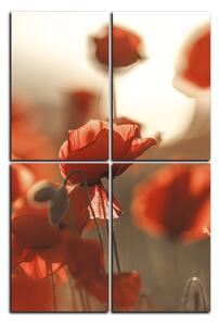 Slika na platnu - Makovi na suncu - pravokutnik 793FD (90x60 cm)