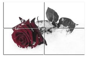 Slika na platnu - Ruža u snijegu 1103FE (90x60 cm)