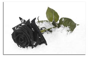 Slika na platnu - Ruža u snijegu 1103QA (120x80 cm)