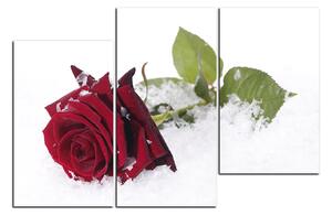 Slika na platnu - Ruža u snijegu 1103C (150x100 cm)