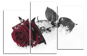 Slika na platnu - Ruža u snijegu 1103FD (150x100 cm)