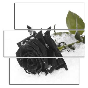 Slika na platnu - Ruža u snijegu - kvadrat 3103QC (75x75 cm)