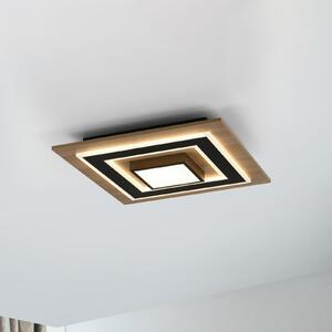 JUST LIGHT. GmbH SAMO SVJETLO. Tola LED stropna svjetiljka, četvrtasta, 2 žarulje, drvo,, Drvo, Dnevni boravak/blagovaonica, Drvo