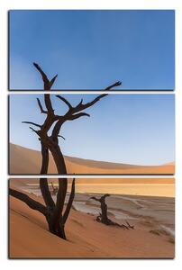 Slika na platnu - Mrtvo stablo u dinama - pravokutnik 7130B (90x60 cm )