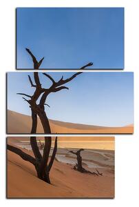 Slika na platnu - Mrtvo stablo u dinama - pravokutnik 7130C (90x60 cm)