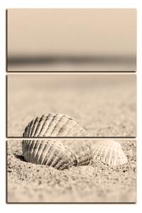 Slika na platnu - More i školjke - pravokutnik 7126FB (90x60 cm )