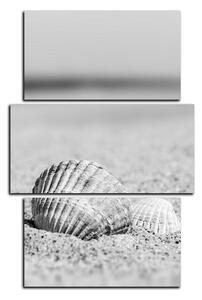 Slika na platnu - More i školjke - pravokutnik 7126QC (90x60 cm)