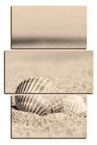 Slika na platnu - More i školjke - pravokutnik 7126FC (90x60 cm)