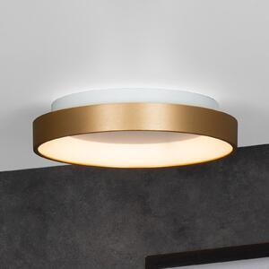 LED stropna svjetiljka Vidal, zlatna, Ø 28 cm, prigušiva, akril