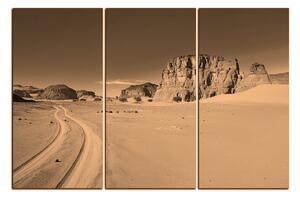 Slika na platnu - Cesta u pustinji 1129FB (105x70 cm)