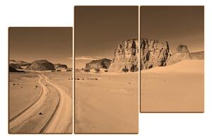 Slika na platnu - Cesta u pustinji 1129FD (90x60 cm)