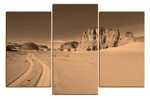 Slika na platnu - Cesta u pustinji 1129FC (120x80 cm)