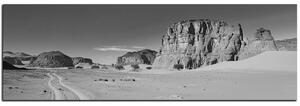 Slika na platnu - Cesta u pustinji - panorama 5129QA (105x35 cm)