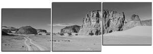 Slika na platnu - Cesta u pustinji - panorama 5129QE (90x30 cm)