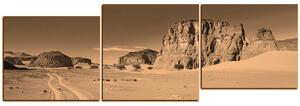 Slika na platnu - Cesta u pustinji - panorama 5129FE (150x50 cm)