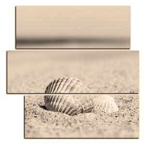 Slika na platnu - More i školjke - kvadrat 3126FD (75x75 cm)