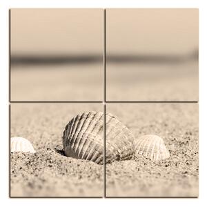 Slika na platnu - More i školjke - kvadrat 3126FE (60x60 cm)