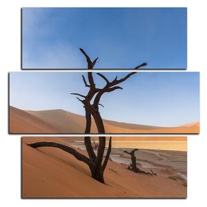 Slika na platnu - Mrtvo stablo u dinama - kvadrat 3130D (75x75 cm)