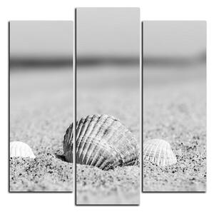 Slika na platnu - More i školjke - kvadrat 3126QC (75x75 cm)