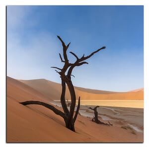 Slika na platnu - Mrtvo stablo u dinama - kvadrat 3130A (50x50 cm)