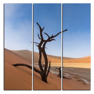 Slika na platnu - Mrtvo stablo u dinama - kvadrat 3130B (75x75 cm)