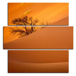 Slika na platnu - Crvene pješčane dine - kvadrat 3133D (75x75 cm)