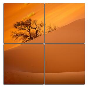 Slika na platnu - Crvene pješčane dine - kvadrat 3133E (60x60 cm)