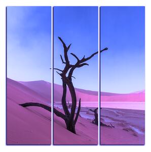 Slika na platnu - Mrtvo stablo u dinama - kvadrat 3130FB (75x75 cm)