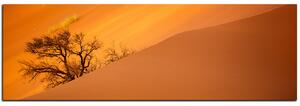 Slika na platnu - Crvene pješčane dine - panorama 5133A (105x35 cm)