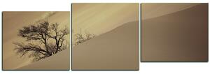 Slika na platnu - Crvene pješčane dine - panorama 5133FD (150x50 cm)