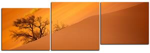 Slika na platnu - Crvene pješčane dine - panorama 5133D (90x30 cm)