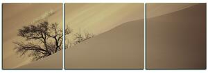 Slika na platnu - Crvene pješčane dine - panorama 5133FC (150x50 cm)