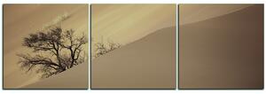 Slika na platnu - Crvene pješčane dine - panorama 5133FB (90x30 cm)