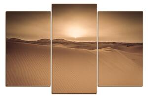 Slika na platnu - Pustinja Sahara 1131FC (90x60 cm)