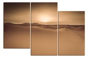 Slika na platnu - Pustinja Sahara 1131FD (90x60 cm)