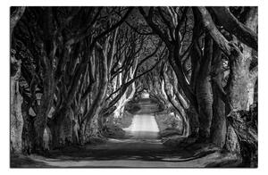 Slika na platnu - Mračne ograde u Irskoj 1134QA (120x80 cm)
