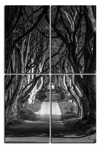 Slika na platnu - Mračne ograde u Irskoj - pravokutnik 7134QD (120x80 cm)
