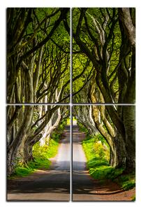 Slika na platnu - Mračne ograde u Irskoj - pravokutnik 7134D (90x60 cm)
