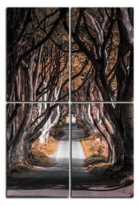 Slika na platnu - Mračne ograde u Irskoj - pravokutnik 7134FD (120x80 cm)