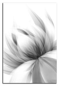 Slika na platnu - Elegantan cvijet - pravokutnik 7147QA (60x40 cm)