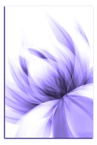 Slika na platnu - Elegantan cvijet - pravokutnik 7147VA (90x60 cm )