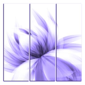 Slika na platnu - Elegantan cvijet - kvadrat 3147VB (75x75 cm)