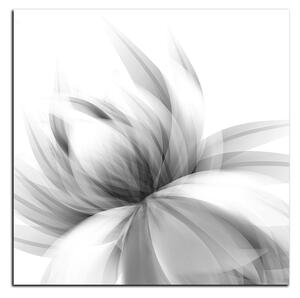 Slika na platnu - Elegantan cvijet - kvadrat 3147QA (50x50 cm)