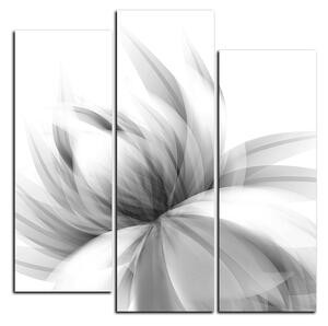 Slika na platnu - Elegantan cvijet - kvadrat 3147QC (75x75 cm)