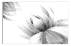 Slika na platnu - Elegantan cvijet 1147QA (100x70 cm)